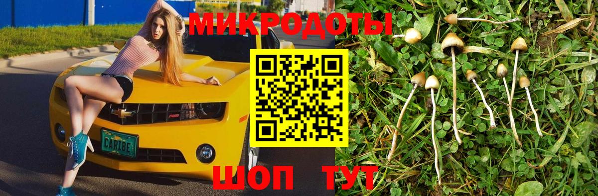 Ногинск  Галлюциногенные грибы Cubensis  Вход с VPN  Галлюциногенные грибы Magic Shrooms 